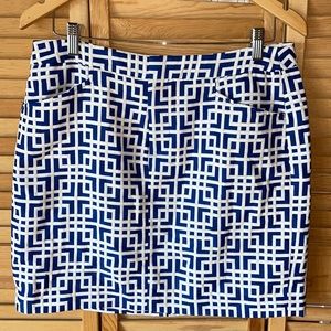 Ann Taylor Skirt